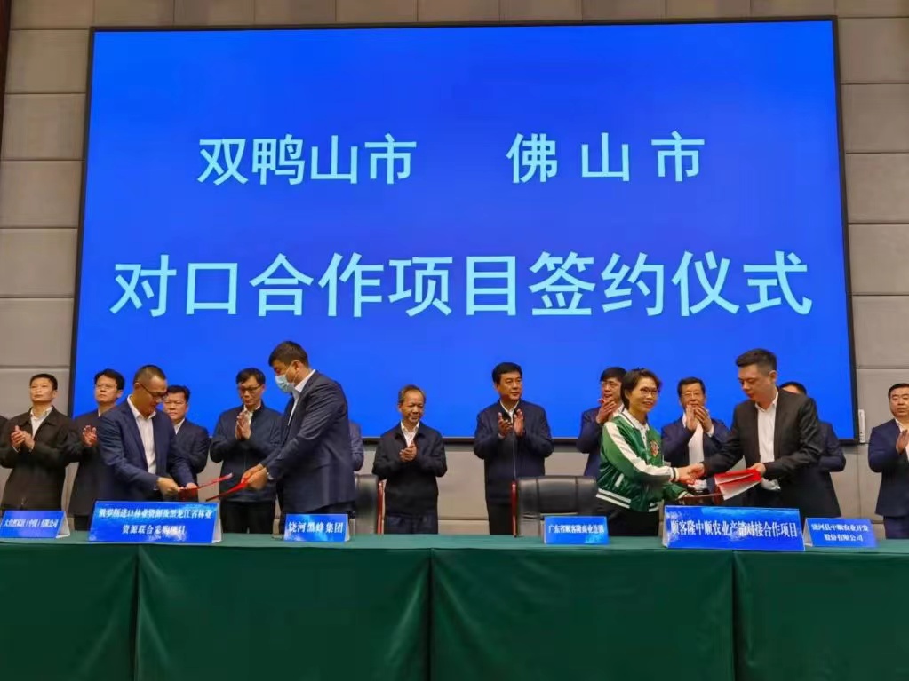 2024年新澳门精准免费大全